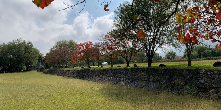 WhatsApp Image 2021-11-17 at 10.17.13 (10)